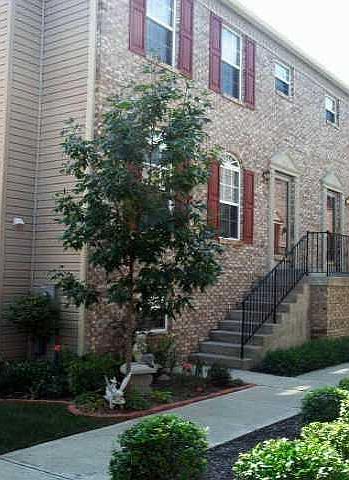 1st image of 3026 Skylar Ln