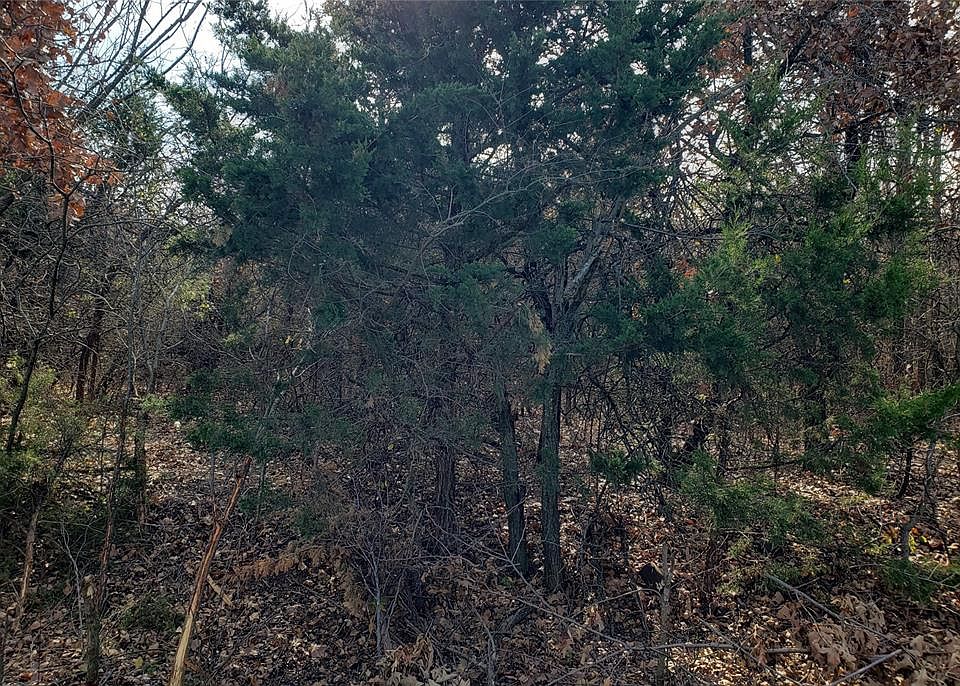 1st image of 12212 NE 52nd St Lot S320 & E1/2 321
