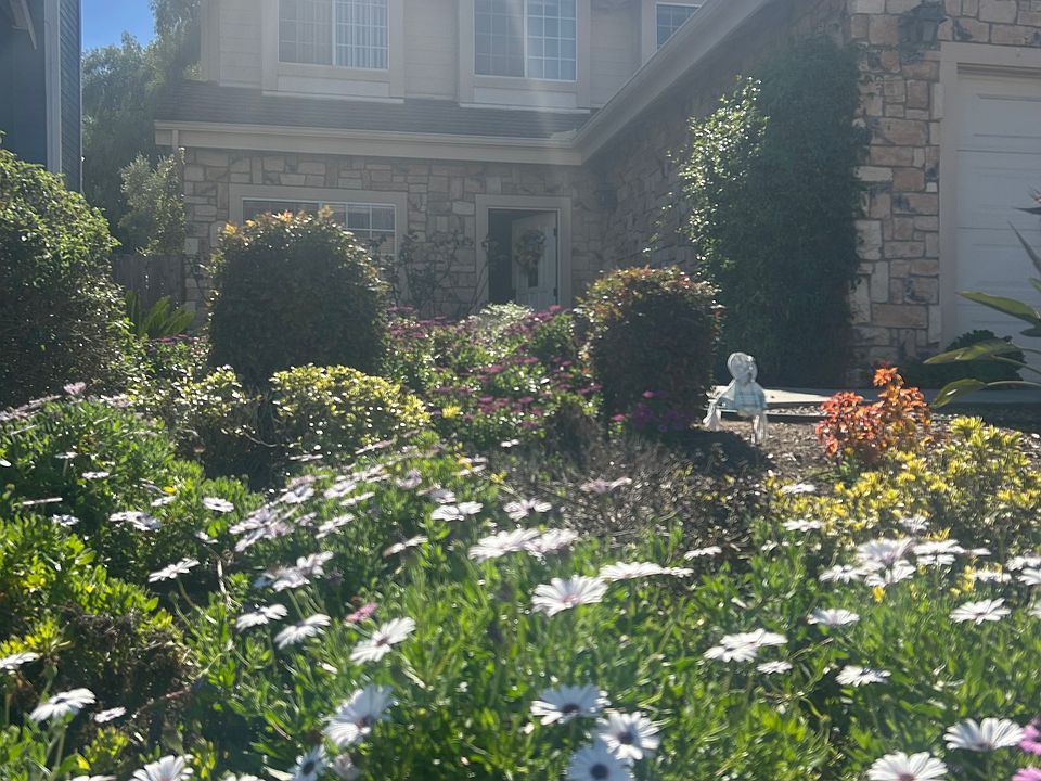 1st image of 826 English Holly Ln