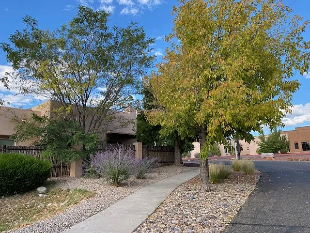 500 Rodeo Rd #520 — Photo 36