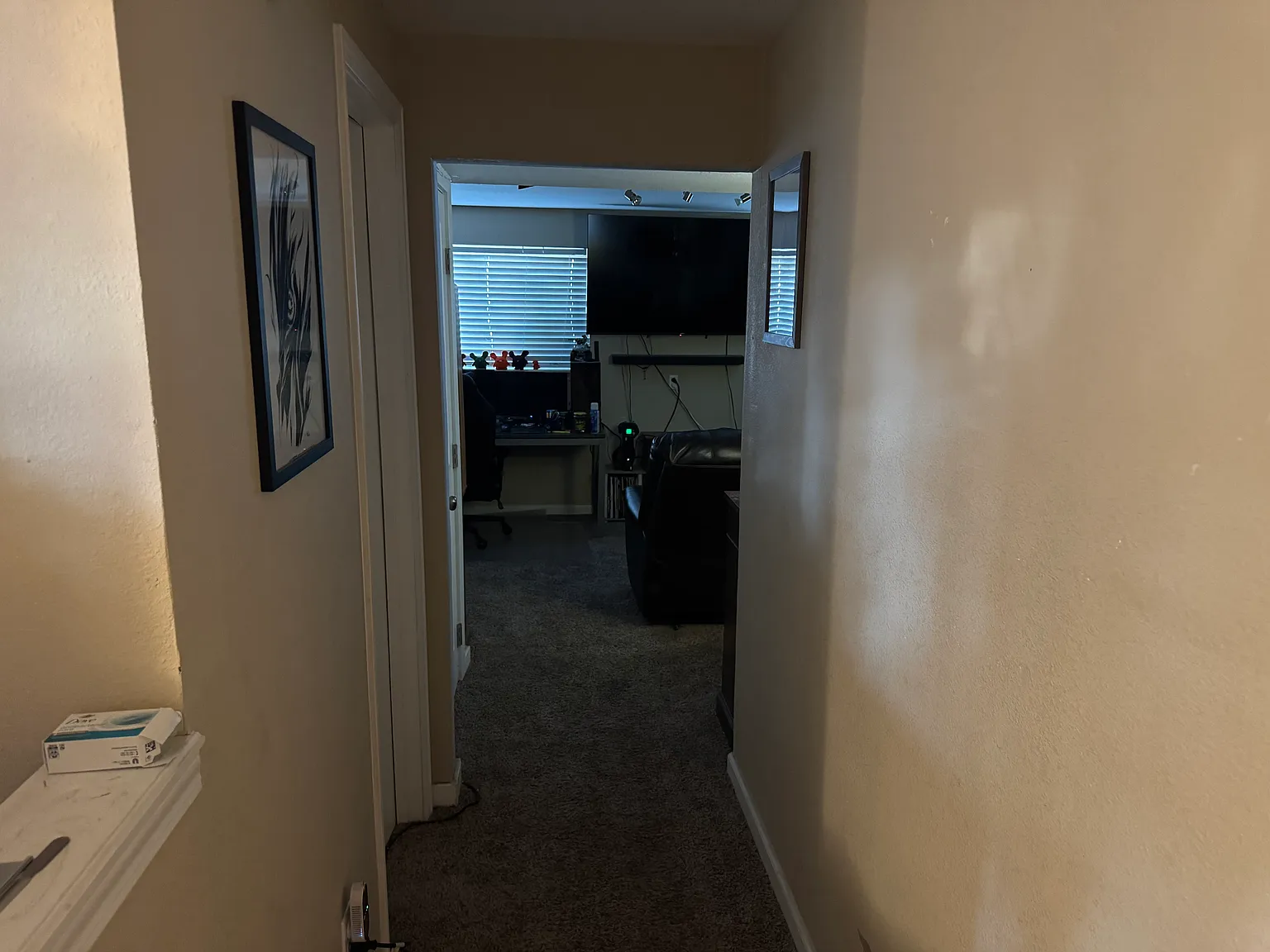 Zion Dr, Colorado Springs — Photo 4