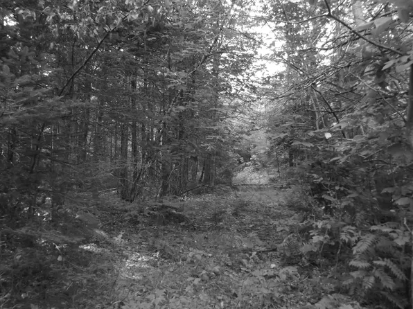 755 N Dexter Road, Parkman, ME 04443