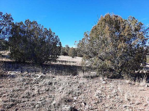 3rd image of 52629 N Conquistador Pkwy
