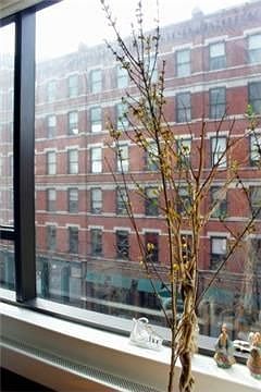 3rd image of 505 Greenwich St APT 4C