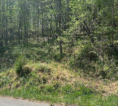 3rd image of 537 Whistle Valley Rd