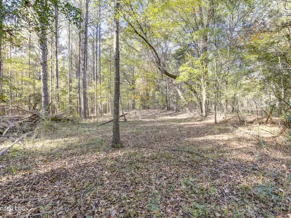 0 Brenmar St, Brandon, MS 39042