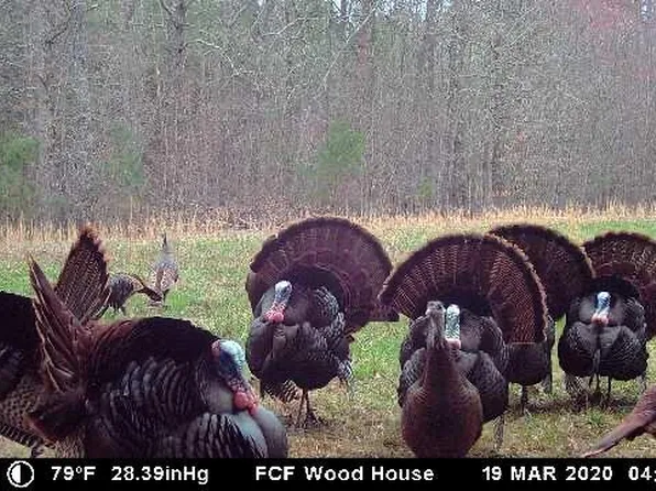 0 State Route 30, Spencer, TN 38585