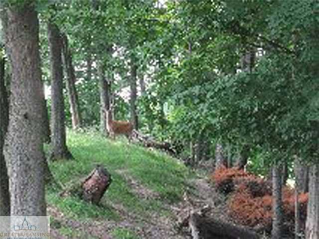 2nd image of 10525 Frost Rd