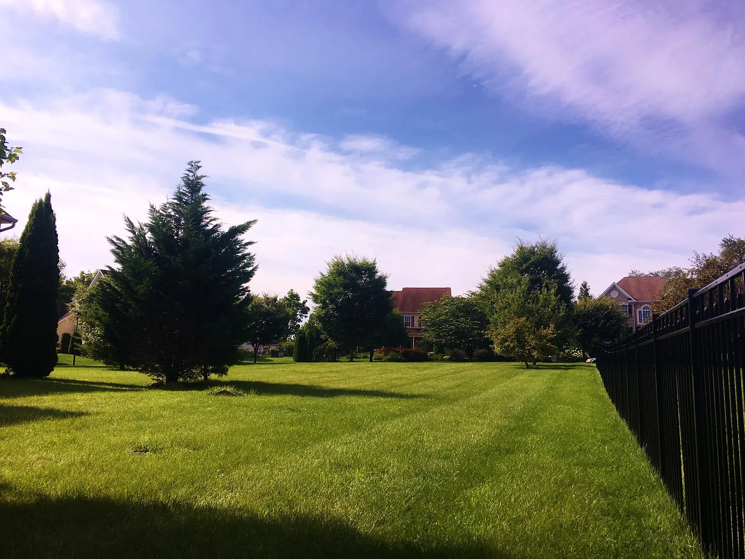 4 bed, 3183 sqft, $4,950 — Photo 4