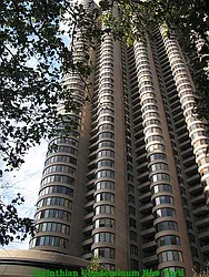 Rented by Amal C Katbe, LREB