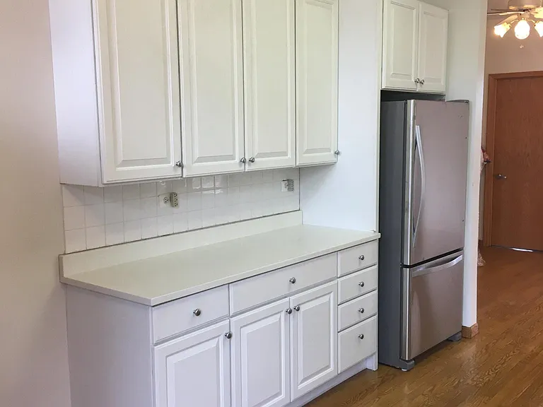 509 N Racine Ave #2N — Photo 12