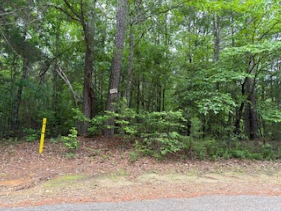 2nd image of 146 Pin Oak