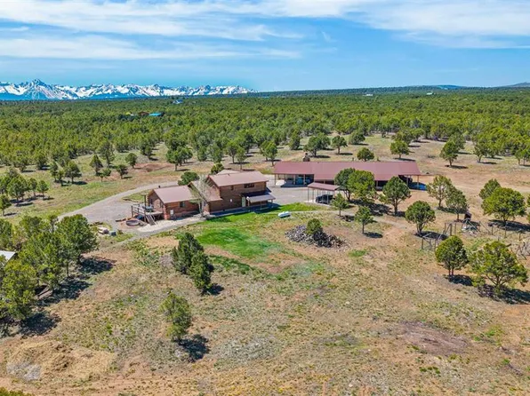 382 Sugar Bush & 1531 Sage Rd, Montrose, CO 81403
