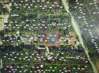 3629 E Diana Ln, Inverness, FL 34453