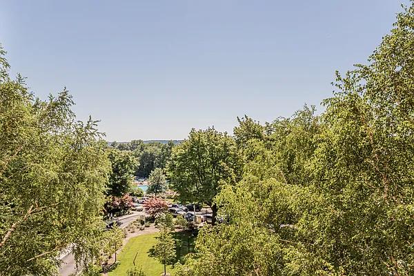 Sold by Douglas Elliman | media 22