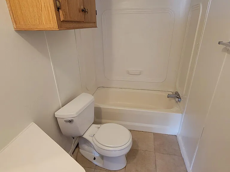 Hall bathroom