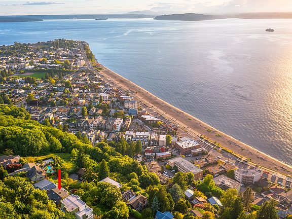 All of Alki from your deck!