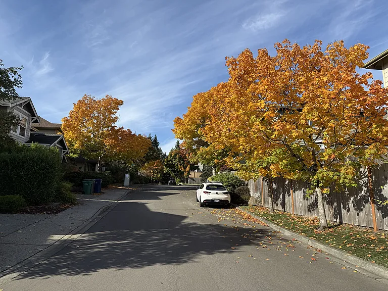 Braeburn Neighborhood