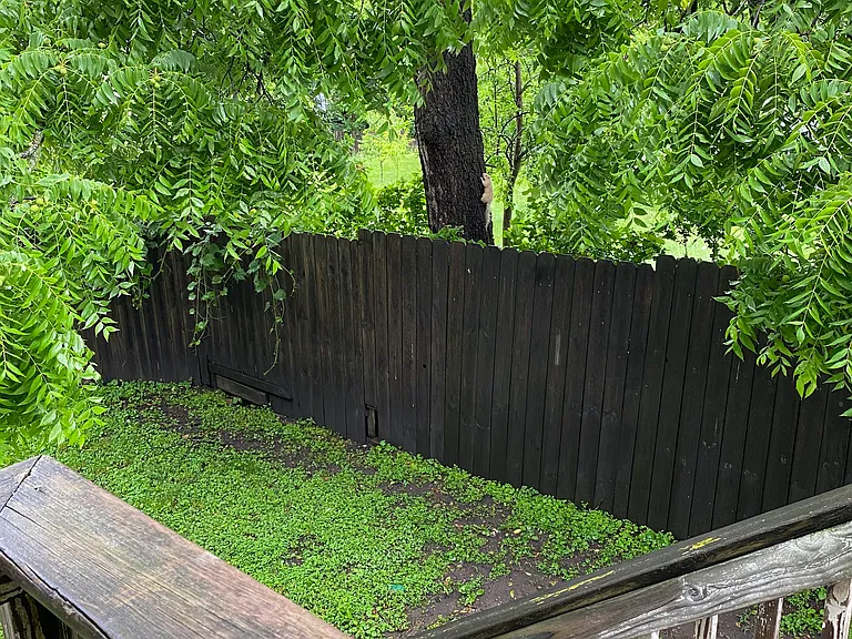 323 S Broadway Ave — Photo 1
