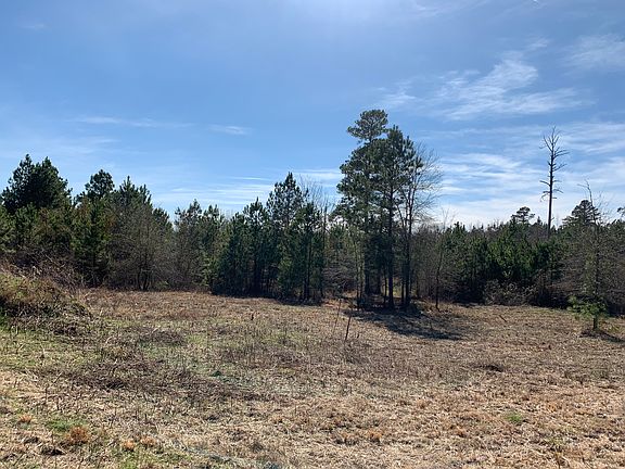 3rd image of 454 Sandra Ln
