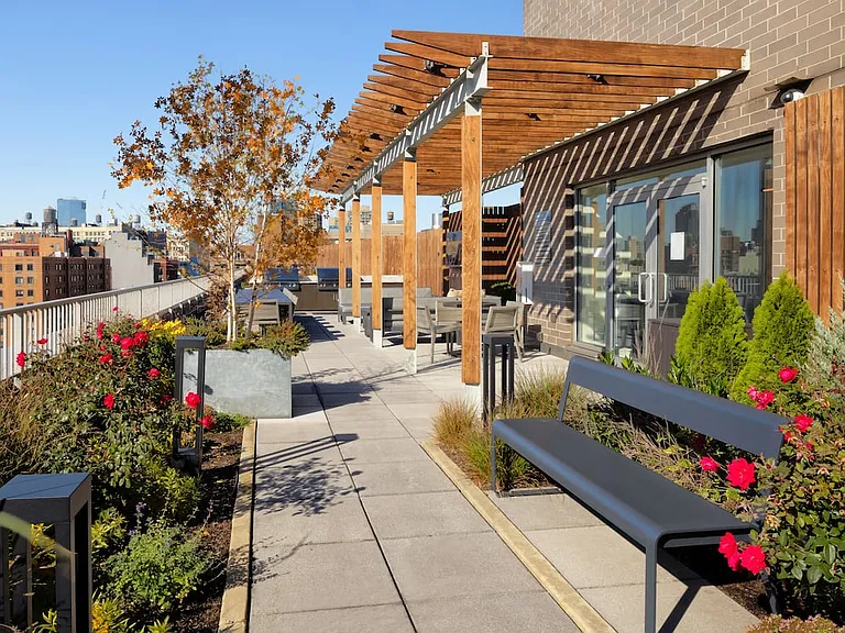 Rooftop terrace