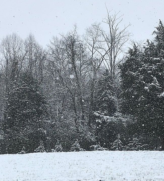 1st image of 3427 Apostle Rd