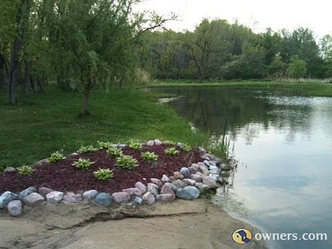 Pond