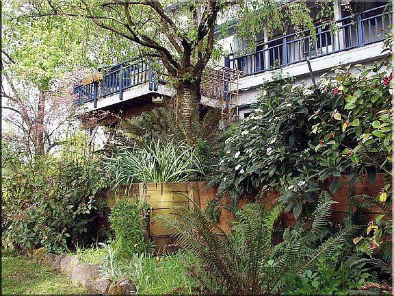 Back Balcony & Landscaping