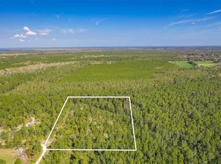 115 Bell Fountaine Ave #6, Pierson, FL 32180