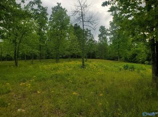 2.78 Creekview St, Rainsville, AL 35986