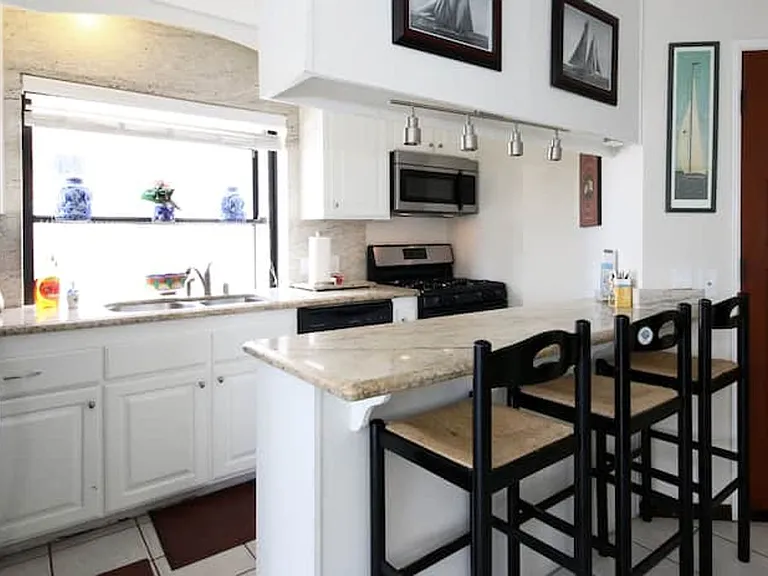 2645 Ocean Front Walk — Photo 47
