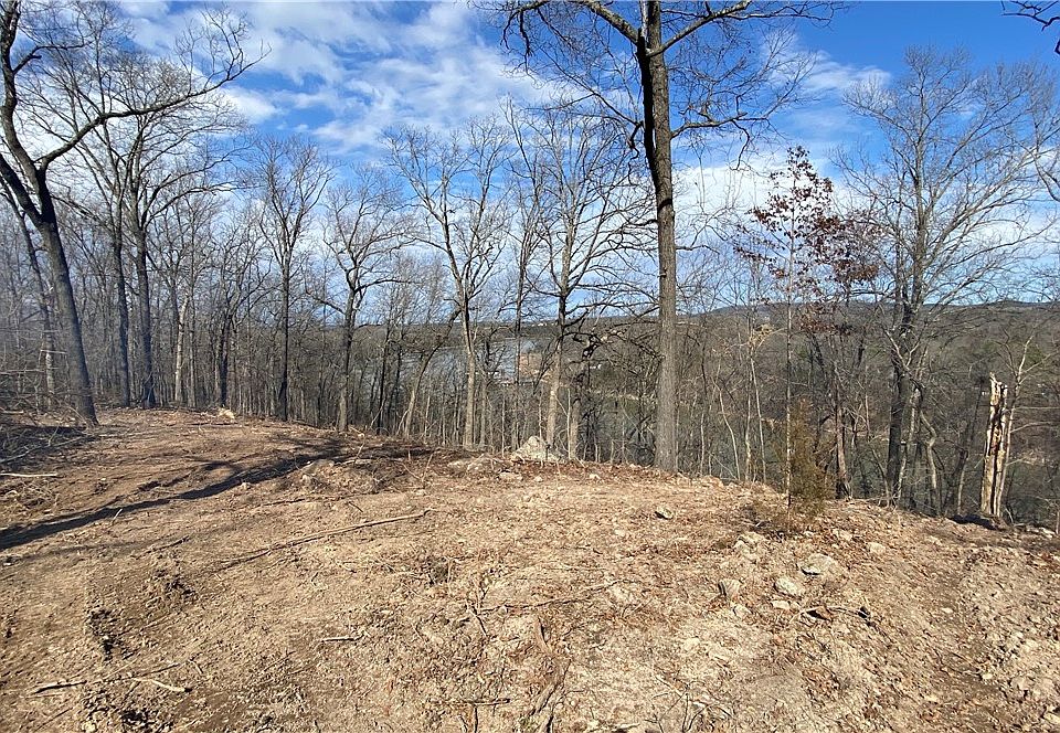 1st image of LOT 24 Farm Road 1250