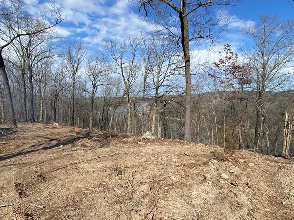 LOT 24 Farm Road 1250, Golden, MO 65658