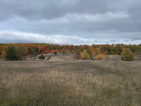 V/l Holiday Rd, Wolverine, MI 49799
