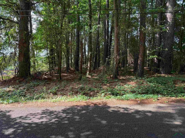 Ethel St, Longview, TX 75602