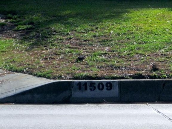 5th image of 11509 Beverly Blvd