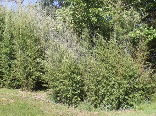 1004 Owhyhe Rd, Tool, TX 75143