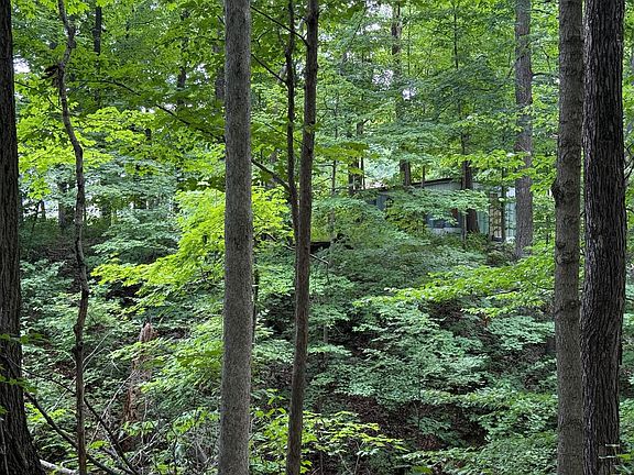 4th image of 10717 Boat Dock Rd