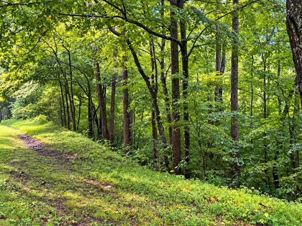 0 Turners Creek Rd, Ferrum, VA 24088