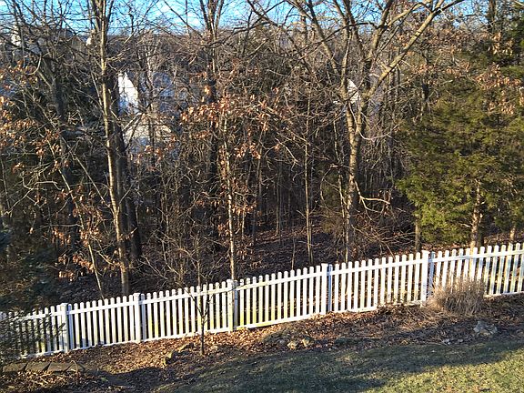 Listen to the owls hoot