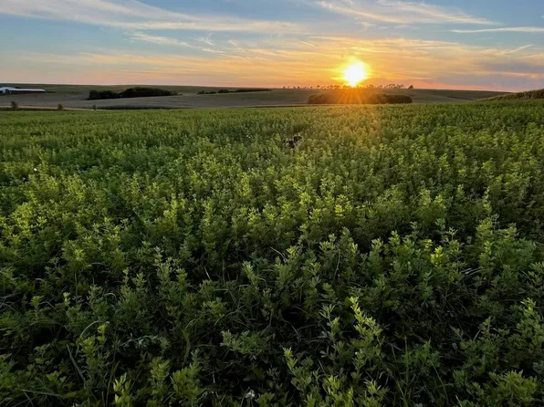LOT 1 S Prairie Rd, Mineral Pt, WI 53565
