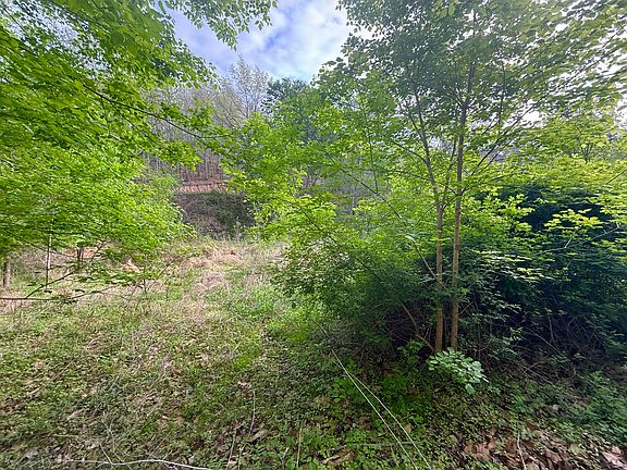 4th image of 99999 Walling Rd