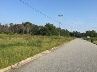 47 Persimmon Blvd, Ludowici, GA 31316