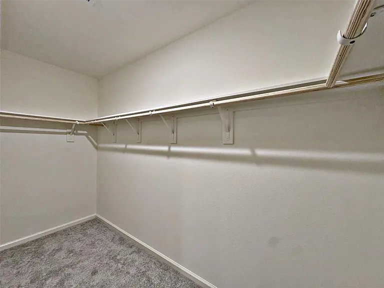 8431 Vacek Crossing Way — Photo 36