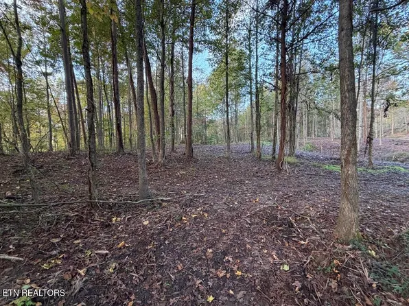 0 Sled Creek Rd, Duff, TN 37729