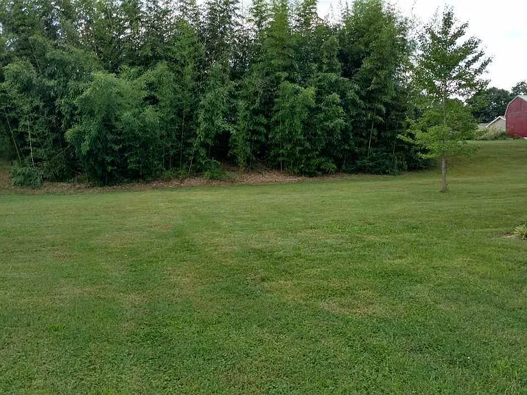 509 McCrary Dr #509 — Photo 11