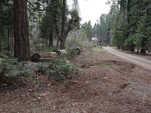 2nd image of Caine Rd