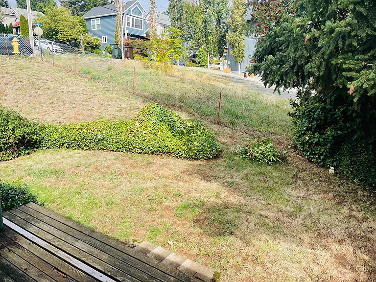 Large fenced backyard. Tenants free to plant things and make the yard their own.