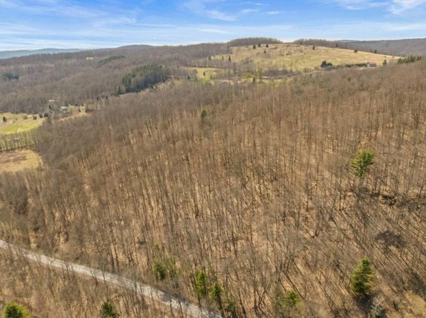 L9112 Lutheranville Rd, Summit, NY 12175