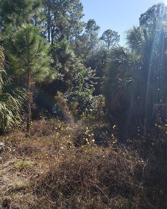 1st image of Athena Ter Lot 25